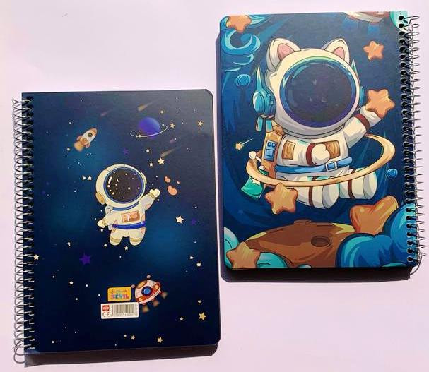 پلنر طرح فضانورد